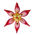 Cargar imagen en el visor de la galería, Crimson Stargazer Lily Premium christmas glass ornament 2021-031
