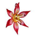 Cargar imagen en el visor de la galería, Crimson Stargazer Lily Premium christmas glass ornament 2021-031