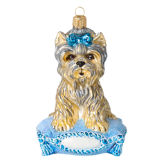 Azure Princess Yorkie