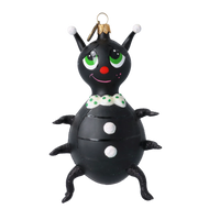 Dapper Midnight Beetle
