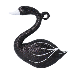 Midnight Swan's Grace