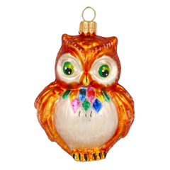 Plump Owl in Autumn