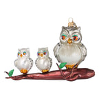 Silver Owl Family
