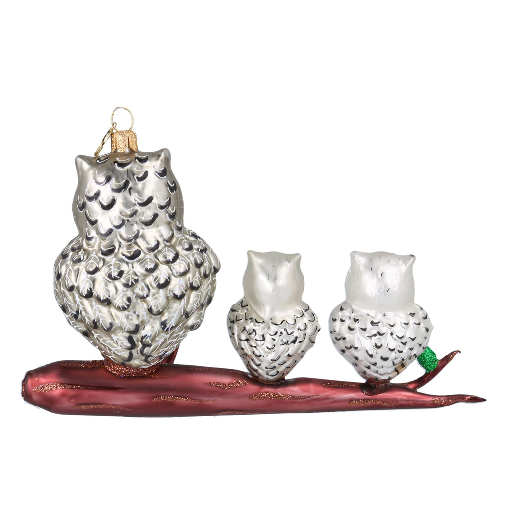 Silver Owl Family