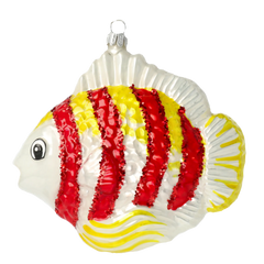 Crimson & Gold Reef Fish