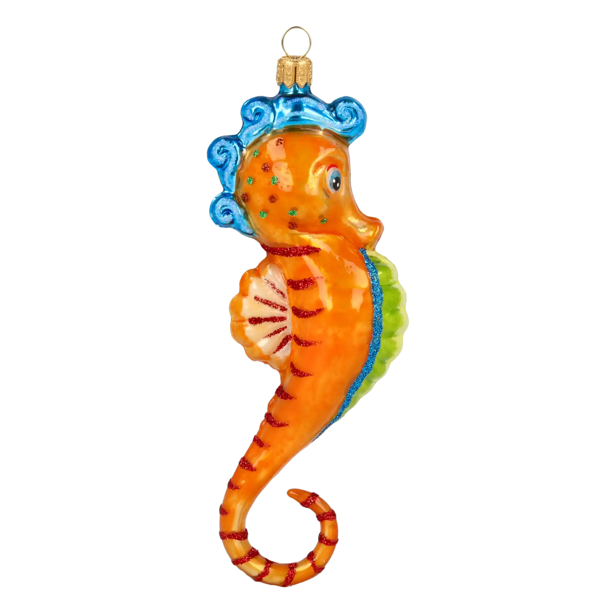 Seahorse - Ocean Friend