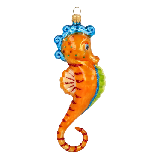 Seahorse - Ocean Friend