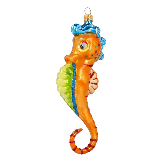 Seahorse - Ocean Friend