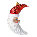 Benevolent Nocturne | Hand-Painted Glass Ornament | Blubom 2020-363