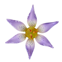 Speckled Twilight Bloom