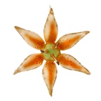 Saffron Ember Petal | Hand-Painted Glass Ornament | Blubom 2020-491