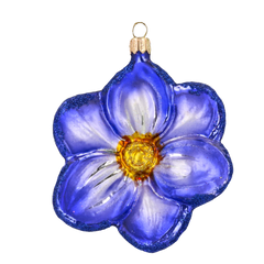 Cornflower Garden Blossom