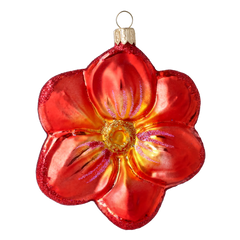 Coral Garden Blossom