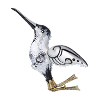 Hummingbird of Midnight Frost