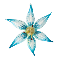 Wild Lily in Turquoise