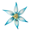 Azure Frost Blossom | Hand-Painted Glass Ornament | Blubom 2021-087
