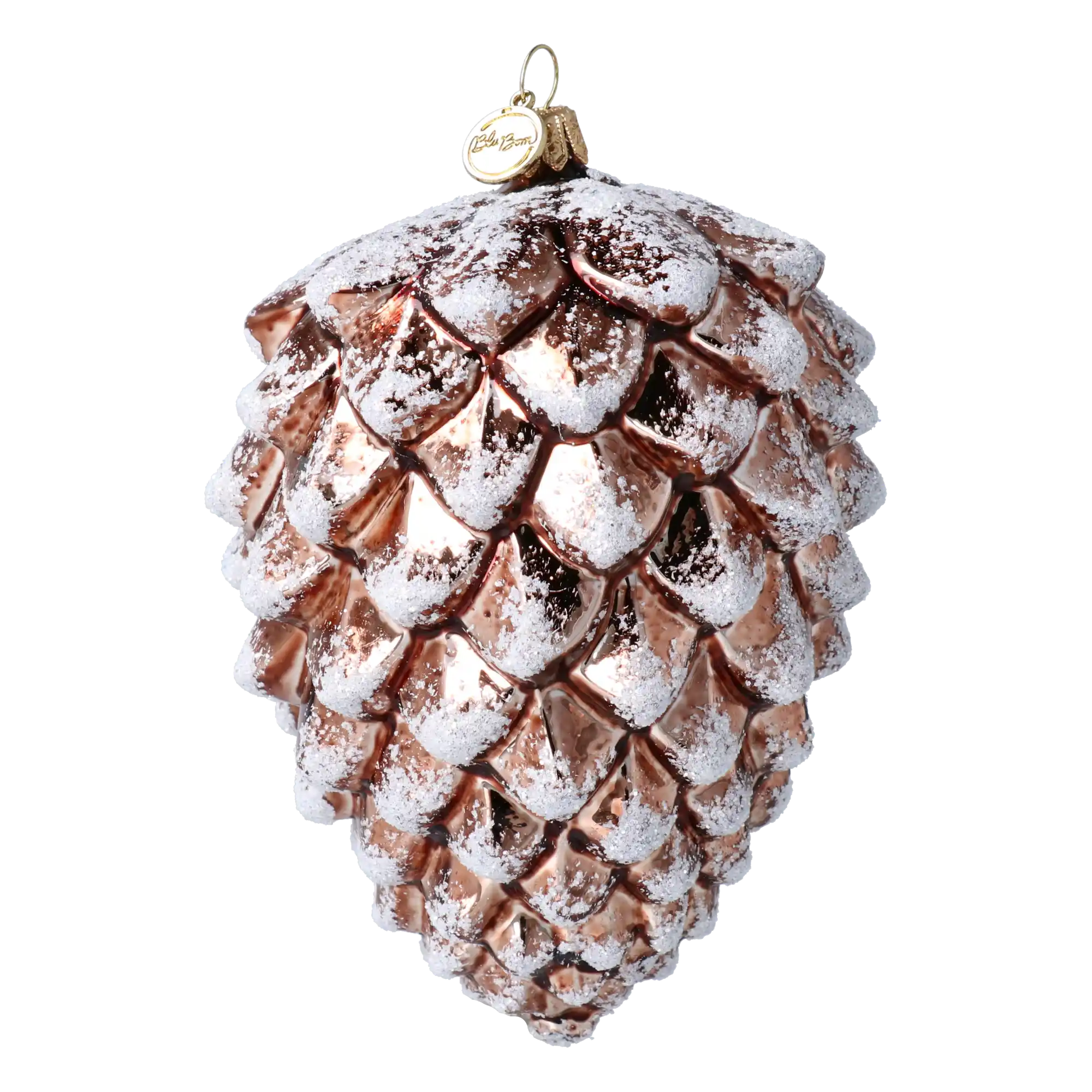 Royal cone of the Winter Forest