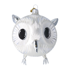Wide-Eyed Owl in Frost