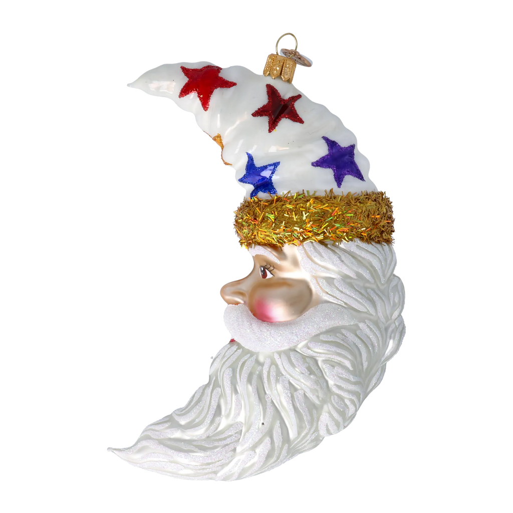 Serene Celestial Nomad | Hand-Painted Glass Ornament | Blubom 2022-088