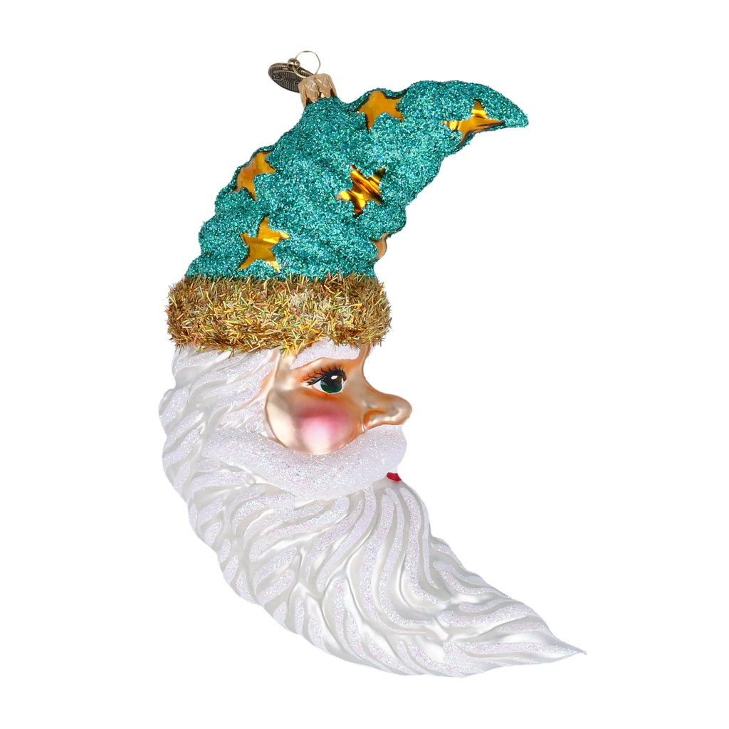 Nocturnal Star Sentinel | Hand-Painted Glass Ornament | Blubom 2022-091