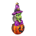 Load image into Gallery viewer, Witch on a Pumpkin
