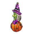Cunning Midnight Weaver | Hand-Painted Glass Ornament | Blubom 2022-115