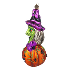 Cunning Midnight Weaver | Hand-Painted Glass Ornament | Blubom 2022-115