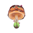 Load image into Gallery viewer, Enchanted Toadstool Mushroom
