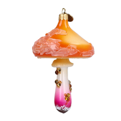 Ringed Mushroom in Sunset