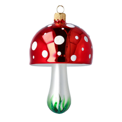 Snow-Footed Toadstool Domed Mushroom