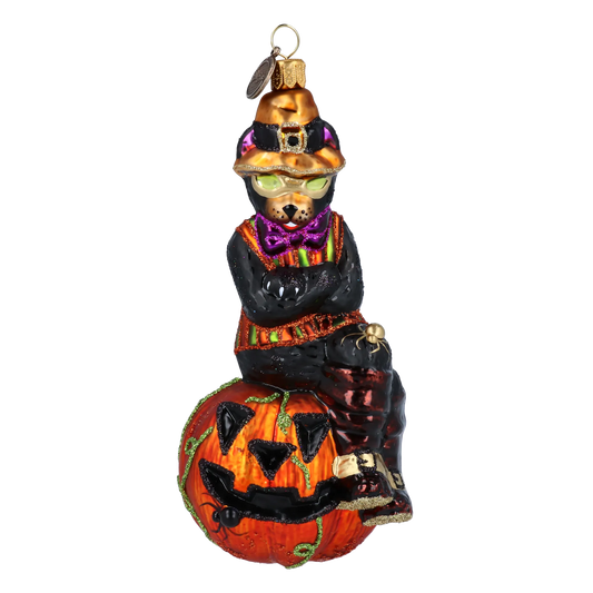 Pumpkin Paws Halloween Cat Glass Christmas ornament 2022-398