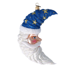 Silent Astral Voyager | Hand-Painted Glass Ornament | Blubom 2022-477