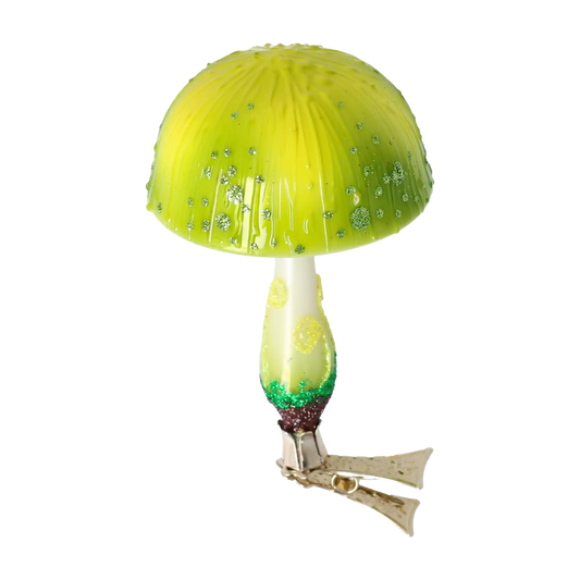 Fairy Lemon Mushroom