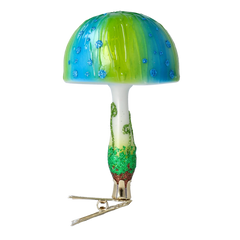 Sunburst Toadstool in Lagoon