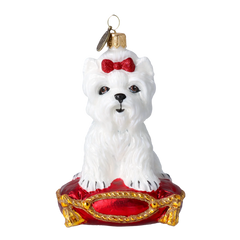 Snow & Ruby Princess Yorkie