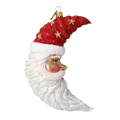 Nocturnal Crimson Voyager | Hand-Painted Glass Ornament | Blubom 2024-096