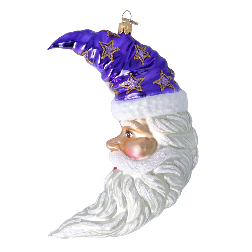 Serene Midnight Voyager | Hand-Painted Glass Ornament | Blubom 2024-258