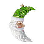 Emerald Star Dreamer | Hand-Painted Glass Ornament | Blubom 2024-260