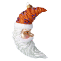 Ancient Ember Voyager | Hand-Painted Glass Ornament | Blubom 2024-278