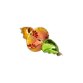 Load image into Gallery viewer, PRE-ORDER Twist Drop Ornament  glass christmas ornaments hand-blown
