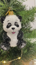 Load and play video in Gallery viewer, Frosted Panda Bear
